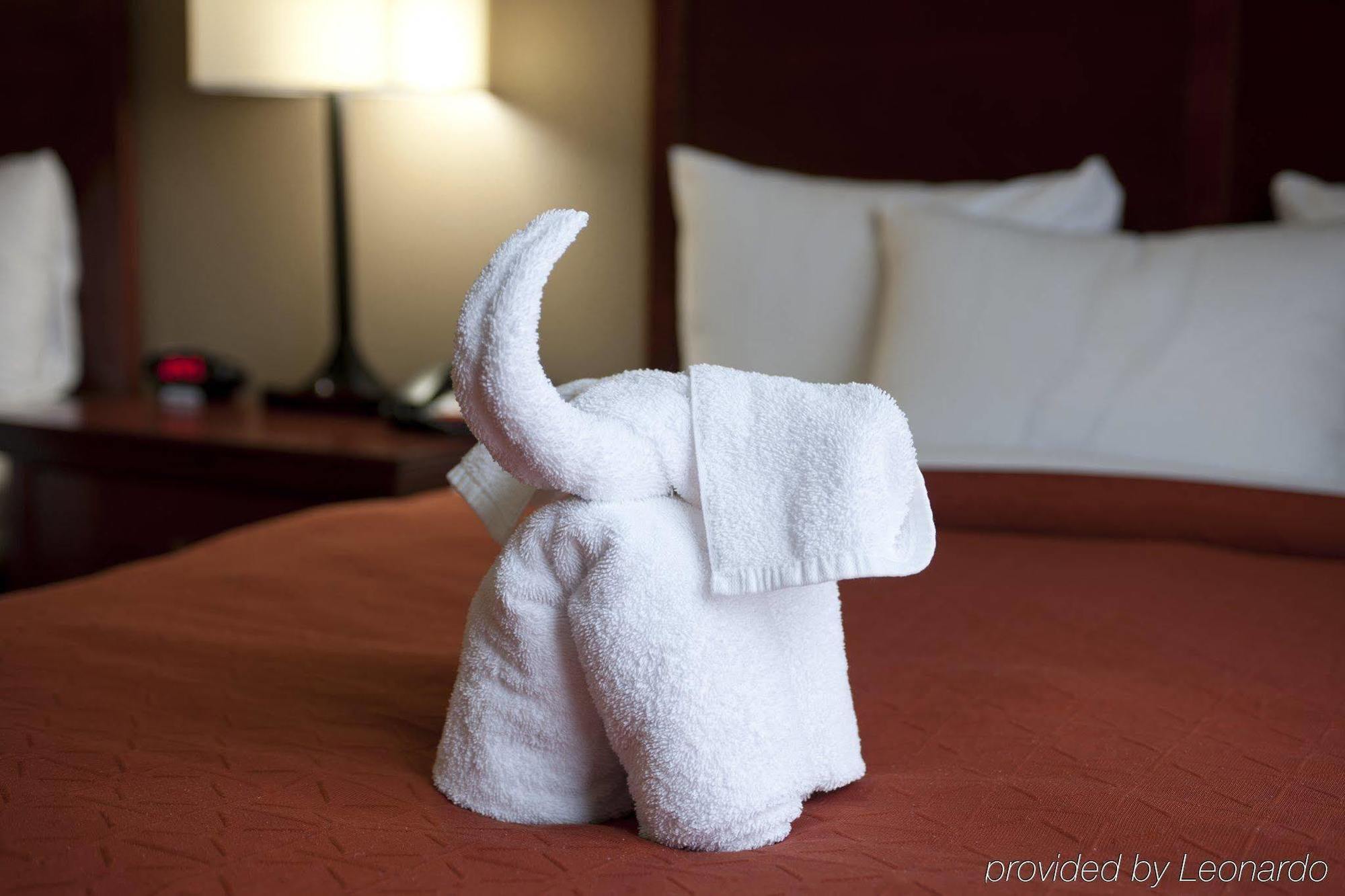 Seffner Inn And Suites Экстерьер фото
